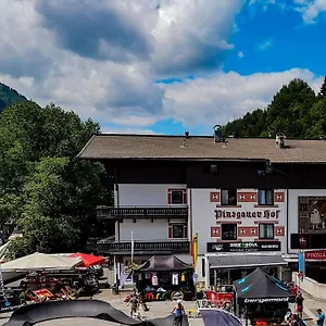 Pinzgauerhof & Bike - Inclusive Evening Dinner Отель Зальбах-Хинтерглемм